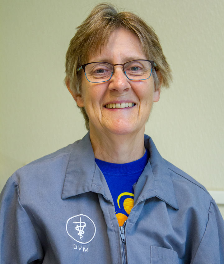 Dr. Patricia Vayo-Sollman, DVM